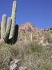 photo thumbnail #3