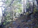 photo thumbnail #4