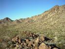 photo thumbnail #13