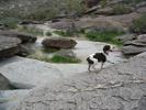photo thumbnail #4