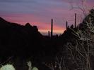 photo thumbnail #14