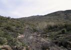 photo thumbnail #15
