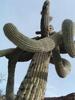 photo thumbnail #11