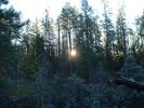 photo thumbnail #1