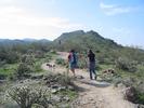 photo thumbnail #9