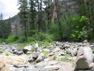 photo thumbnail #10
