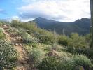 photo thumbnail #6