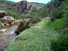photo thumbnail #10