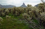 photo thumbnail #12