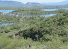 photo thumbnail #8