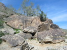 photo thumbnail #4