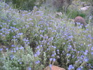 photo thumbnail #9