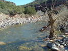 photo thumbnail #10