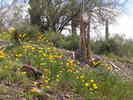 photo thumbnail #14