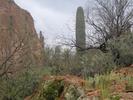 photo thumbnail #7