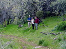 photo thumbnail #12