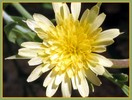 photo thumbnail #15