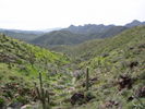 photo thumbnail #4