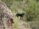 photo thumbnail #6