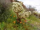 photo thumbnail #6
