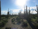 photo thumbnail #7
