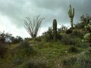 photo thumbnail #4