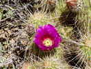 photo thumbnail #8