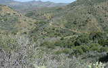 photo thumbnail #10