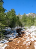 photo thumbnail #5