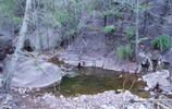 photo thumbnail #10