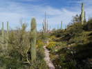photo thumbnail #1