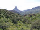 photo thumbnail #4