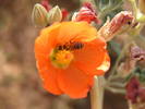 Featured Detail Photo