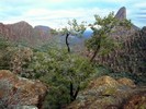 photo thumbnail #5