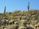 photo thumbnail #6