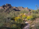 photo thumbnail #8