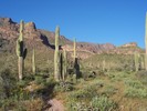 photo thumbnail #9