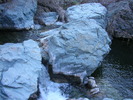 photo thumbnail #7