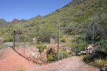 photo thumbnail #4