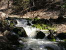 photo thumbnail #11