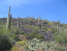 photo thumbnail #1