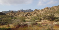 photo thumbnail #4