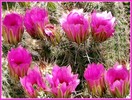 photo thumbnail #10
