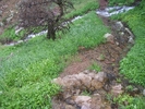 photo thumbnail #12