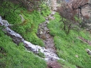 photo thumbnail #14