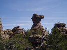 photo thumbnail #11