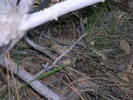 photo thumbnail #1