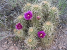 photo thumbnail #12