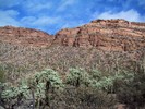 photo thumbnail #15
