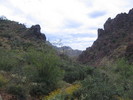 photo thumbnail #10